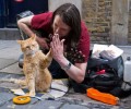Ένας γάτος πρωταγωνιστεί στη «Σχεδία» στο περιοδικό που πωλούν οι δικοί μας άστεγοι
